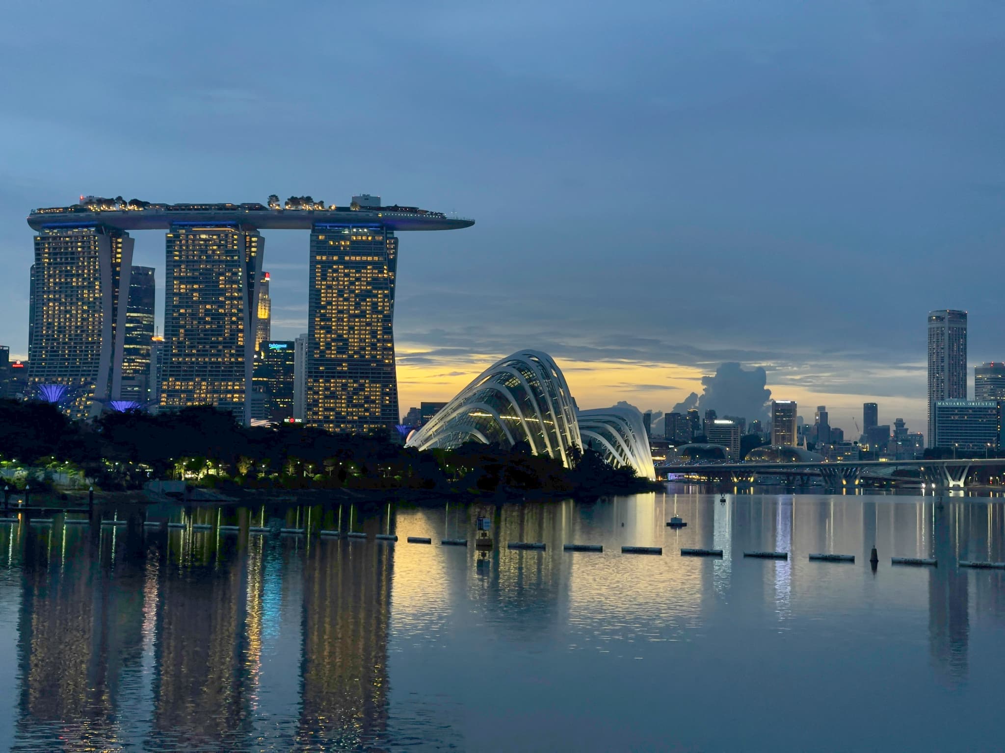Singapore Marina Bay Sands with Gardens by the Bay and city skyline at night