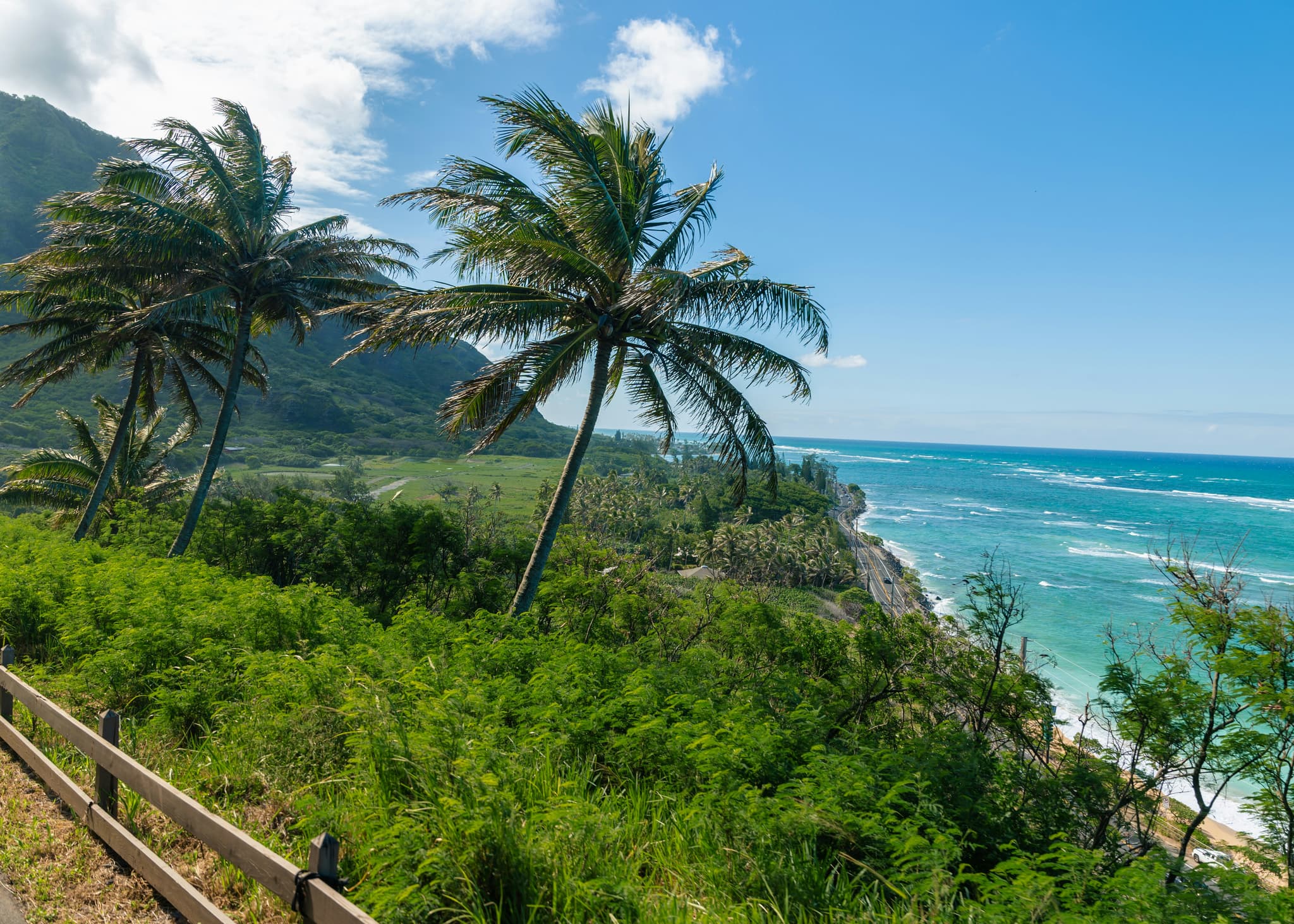 Koh Samui tropical beach paradise with swaying palm trees and turquoise ocean